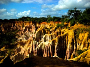 Africa 10